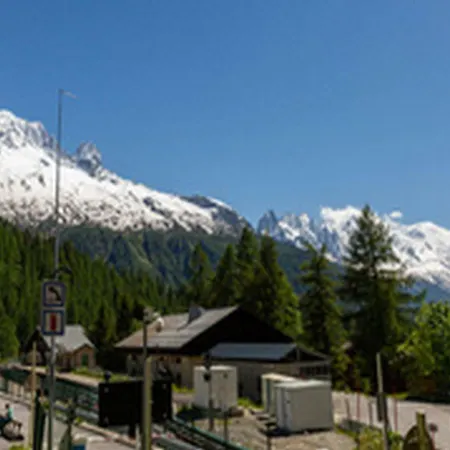 Apartment Bel'alp 24